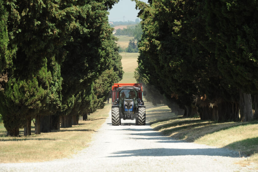 Landini "Serie 6 Rs"