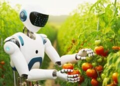 Automazione intelligente, l’era degli automi in agricoltura